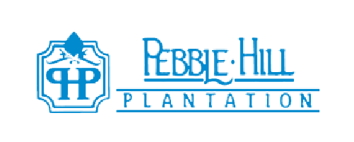 pebble hill plantation-client-summerhill creative-blue